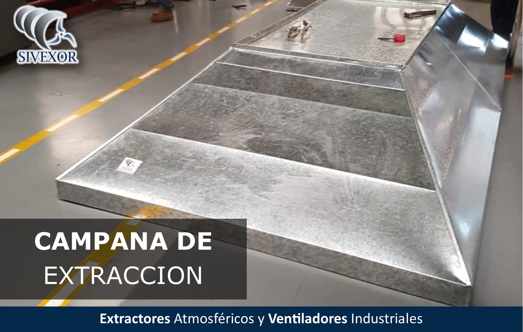 CAMPANA DE EXTRACCION